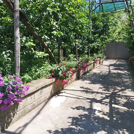 Soso Bed & Breakfast