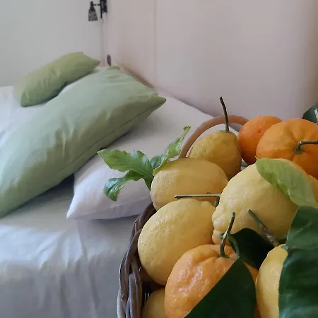 Soso Bed & Breakfast 4*