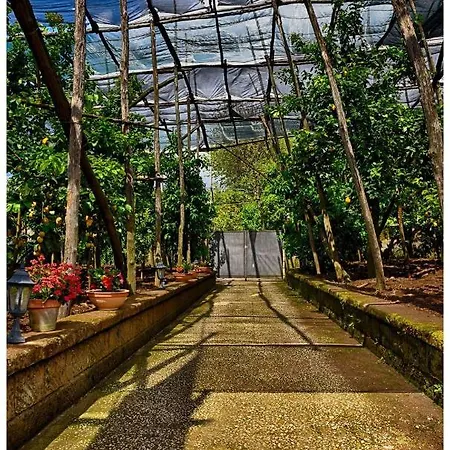 住宿加早餐酒店 索所住宿加早餐旅馆 索伦托