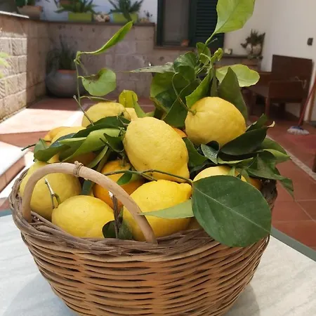 Soso Sorrento