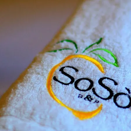 索所住宿加早餐旅馆 4*