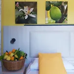 Soso Bed and Breakfast 4*