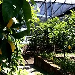 Soso Frühstückspension 4*