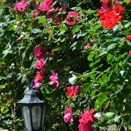 Bed & Breakfast Soso Sorrento