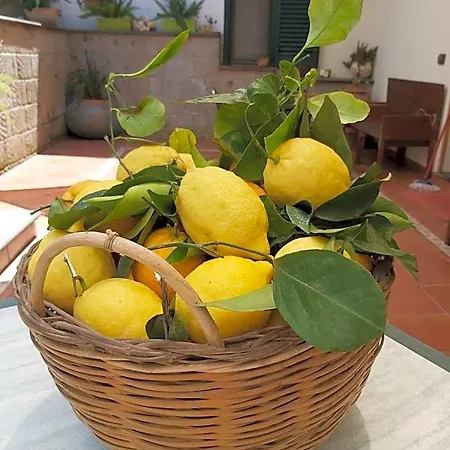 Couette-café Soso Sorrente