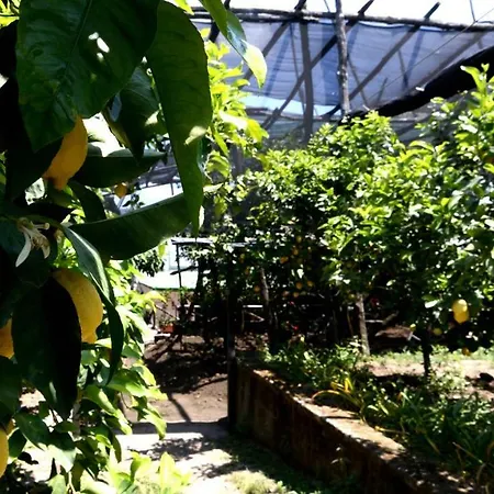 Soso Bed & Breakfast 4*