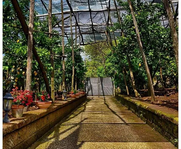 Oda ve Kahvaltı Soso Sorrento