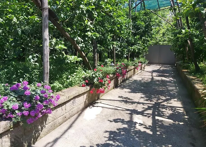 Soso Oda ve Kahvaltı