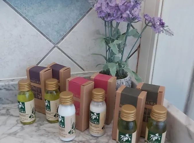 Soso Oda ve Kahvaltı 4*